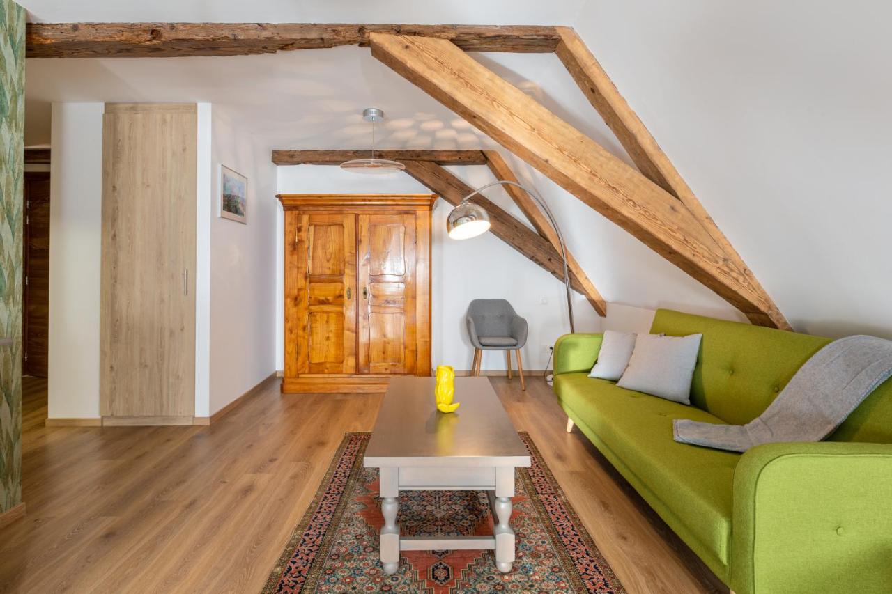Le Rhenanus Jacques Spiegel - Ideal Pour Un Couple - Appartement Au Calme - Parking Gratuit ซิลิสตาต์ ภายนอก รูปภาพ